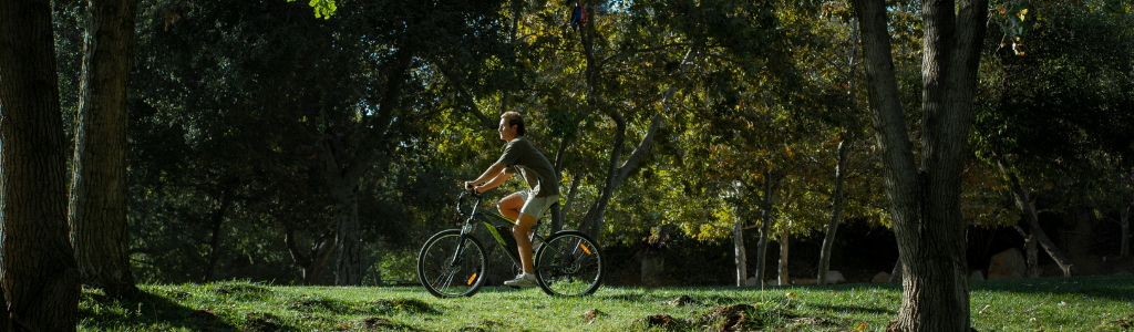 Un cycliste qui fait du vélo sur une piste verte boisée