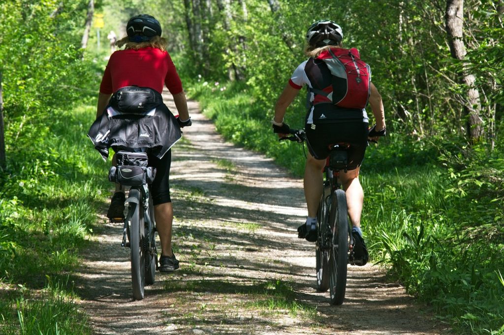 Deux personnes qui font du vélo en forêt