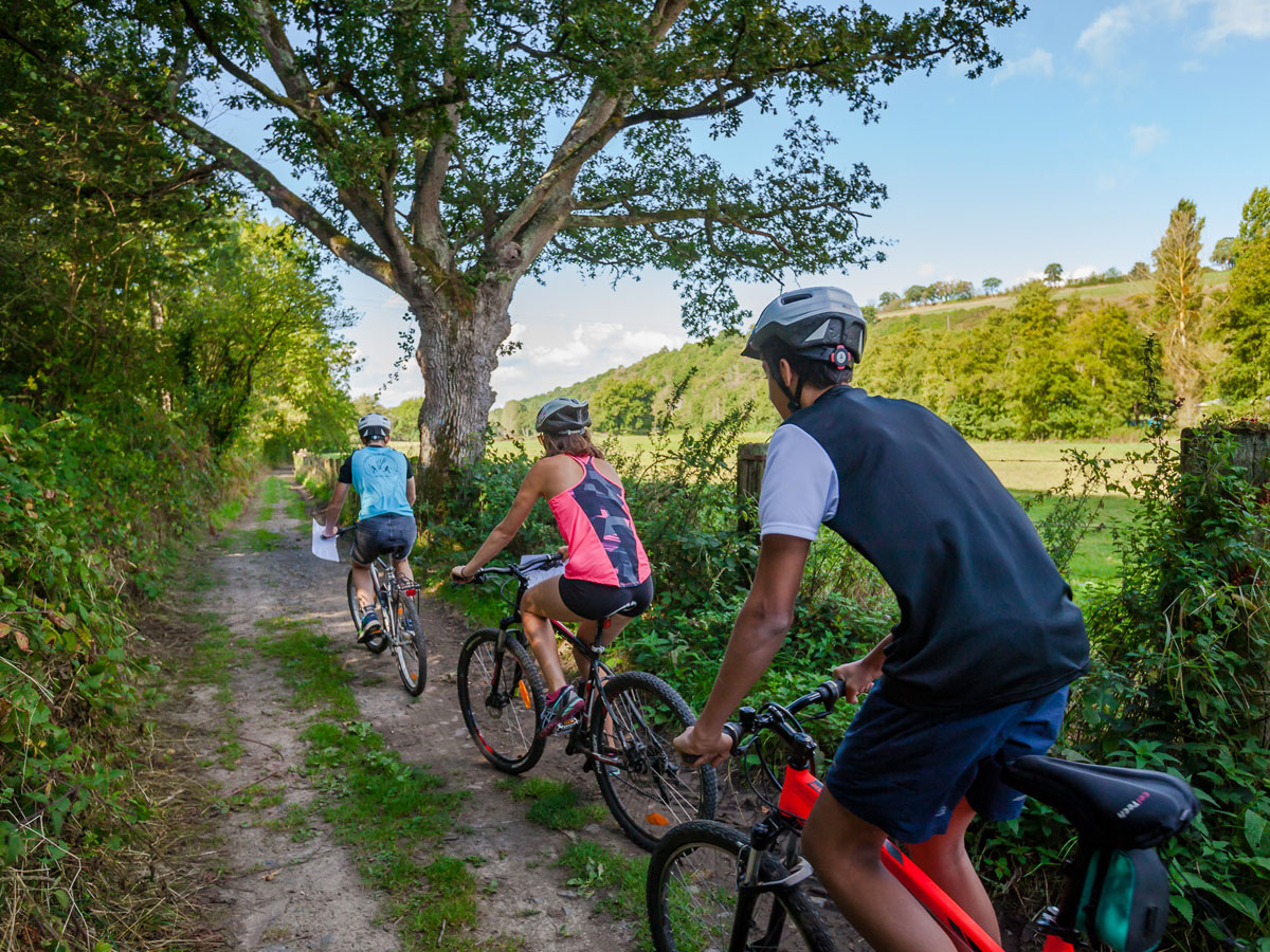 Trois cyclistes sur un chemin nature bordé d'arbres et de verdure, profitant d'une course d'orientation en VTT.