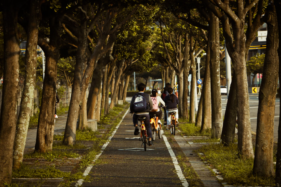 Un groupe de personnes à vélo qui pédalent sous des arbres