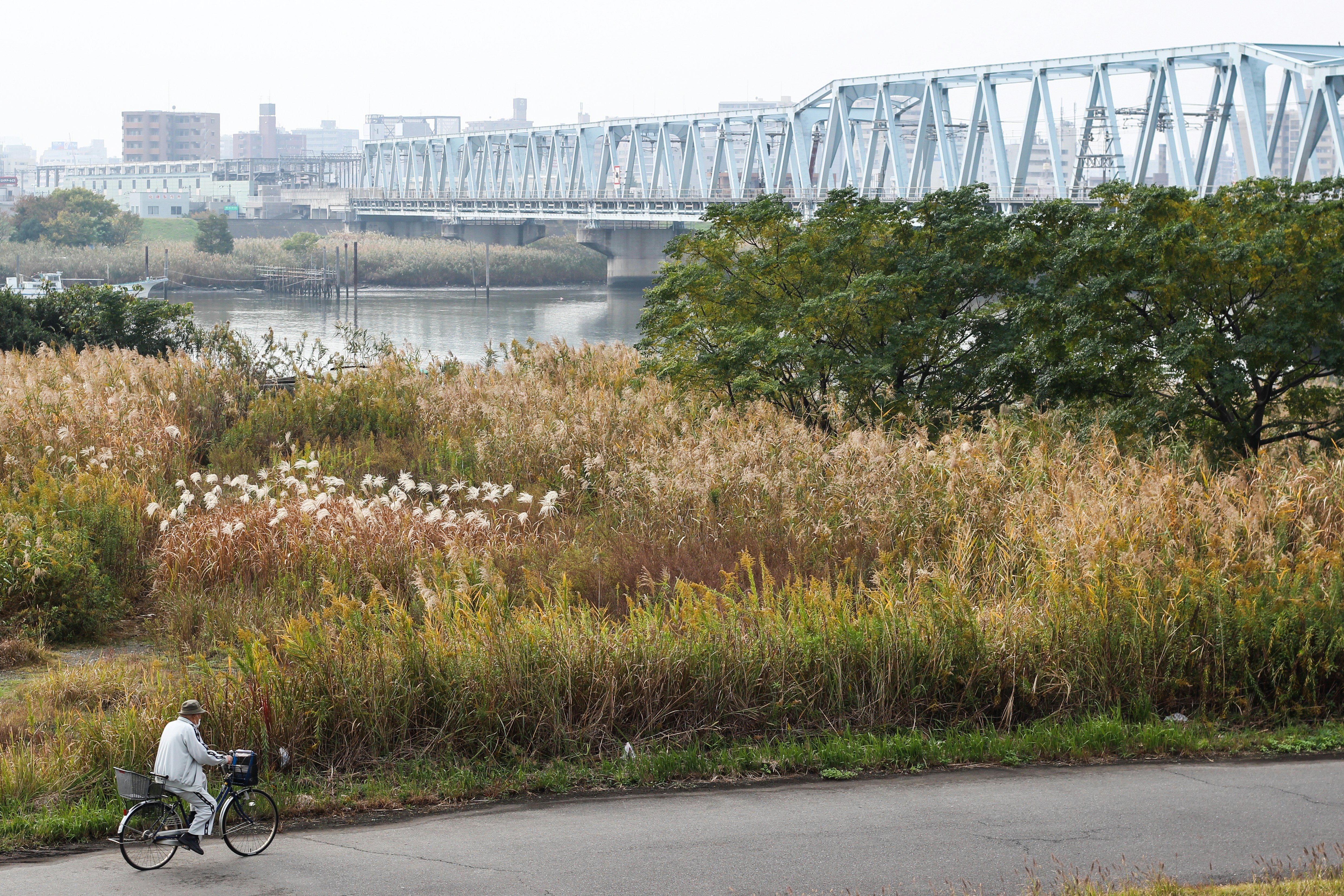Une personne qui se déplace à vélo dans la campagne pour rejoindre son travail en ville
